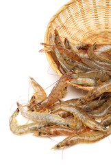 shrimps on a white background 