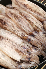 freshly caught squid