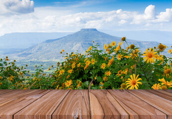 Empty rustic wooden table with mountain blue sky, for montage of your product