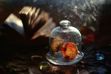 still life with bottle of water and stones