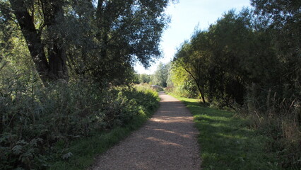 Obraz premium Norwich