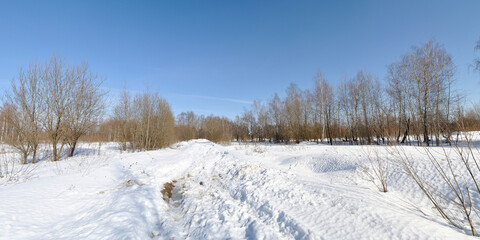 Spring walk through the forest, beautiful panorama.