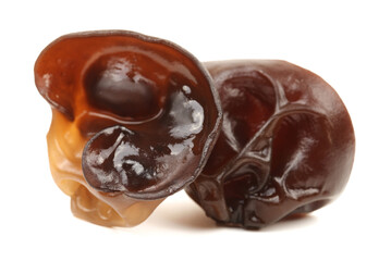 black fungus on white background 