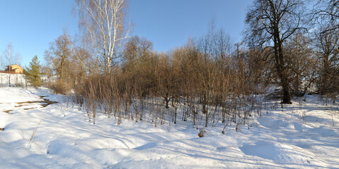 Spring walk through the forest, beautiful panorama.