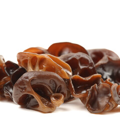black fungus on white background 