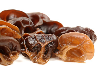 black fungus on white background 