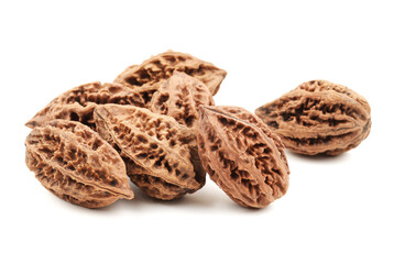 walnuts on a white background