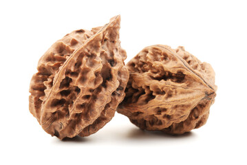 walnuts on a white background