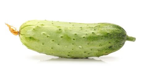 cucumber isolated on white background