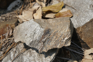 Gneiss metamorphic rock stone of Pre Cambrian Rocks on nature background.
