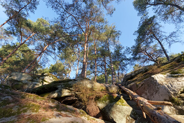 Malesherbes rocks in the hill of Buthiers village. French G&acirc;tinais regional nature park
