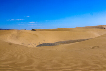Fototapeta na wymiar sand dunes in the desert, Maspalomas