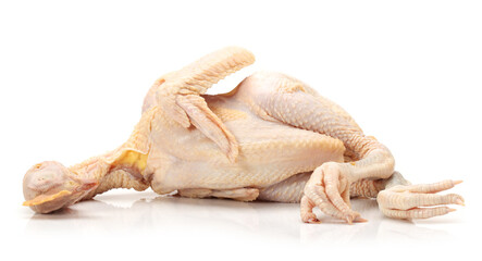 raw chicken isolated.
