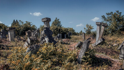 Tombstones at the Ancient Bogomil Cemetery (a medieval Christian neo-Gnostic religious sect founded...
