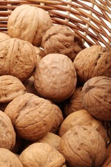 walnut on white background 