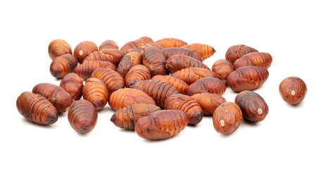 chrysalis silkworm ,silk worm cocoon on white background 
