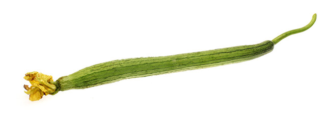 fresh loofah on the white background