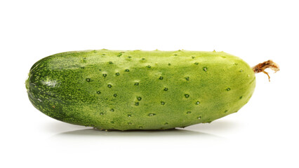 Green cucumber on the white background