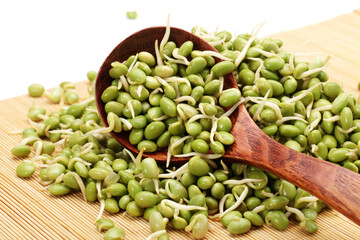 green soybean sprouts on white background