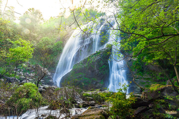 Fototapeta premium Khlong Lan Waterfall, Beautiful waterfalls in klong Lan national park of Thailand. Khlong Lan Waterfall, KamphaengPhet Province Of Thailand,Asia, Thailand, Beauty, Beauty In Nature, Bush