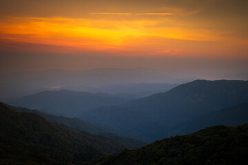 Mountains in clouds at sunrise in summer. Aerial view of mountain peak in fog. Beautiful landscape with high rocks, forest, sky. Top view from drone of mountain valley in low clouds. Foggy hills 