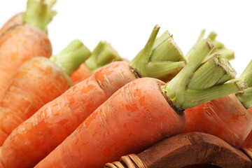 Fresh carrot on a white background
