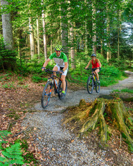Zwei Radsportler mit dem Mountainbike im Wald unterwegs