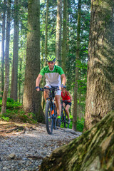 Zwei Radsportler mit dem Mountainbike im Wald unterwegs