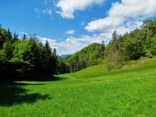 Fototapeta na wymiar Bright green valley surrounded by woods in pre-alpine Slovenia on clear blue spring day