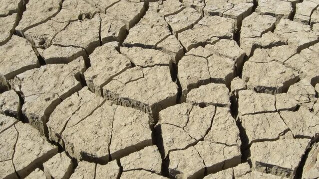 Cracked land by drought