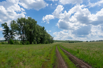 Fototapeta na wymiar Dirt road between agricultural field and forest. Beautiful summer landscape.