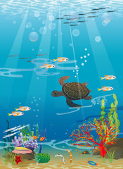 Fototapeta na wymiar Illustration of sea turtles, fish swimming in the beautiful sea