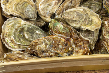 close up of fresh oysters in a hamper