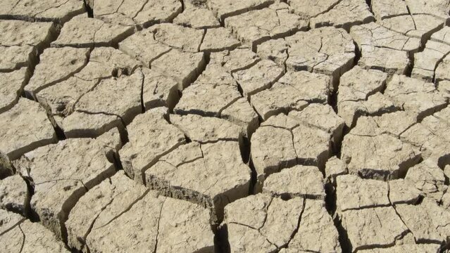 Cracked dry land by drought in the riverside of a lake