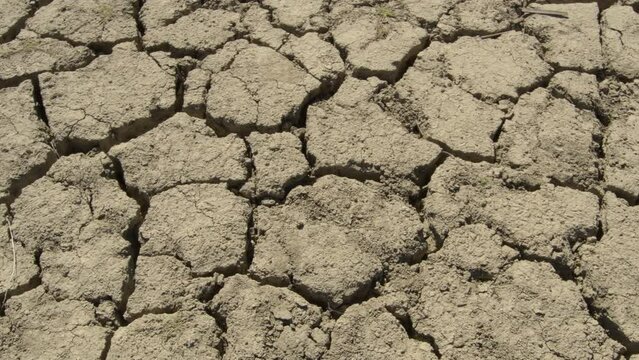Cracked dry land by drought