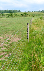 Electric cattle fence on green farmland