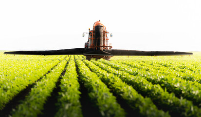 Fototapeta premium Tractor spraying soy field in sunset.