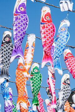Colorful koinobori carp flags during the kodomo no hi (Children's Day) festival in Japan