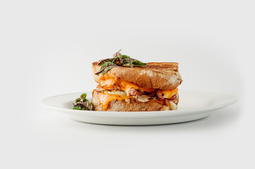 grilled steak in sandwich with vegetables