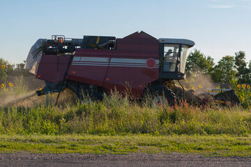 Obraz premium Harvesting. Harvest in the countryside. The combine mows the grain. Old machines. Cultivation of grain. Agricultural machinery in operation.