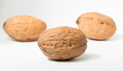 Walnuts are rounded, single-seeded stone fruits of the walnut tree.