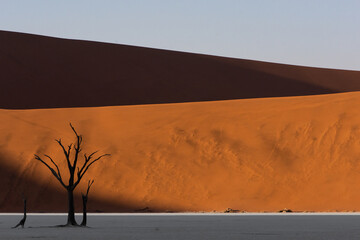 Petrified dead trees silhouette against red dunes in Deadvlei