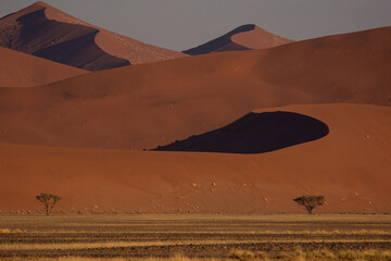 Fototapeta na wymiar Dunes at sunset with shadows outlines the curving toplines