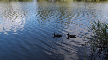 Winter in Norwich