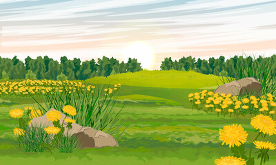 Green summer meadow with yellow dandelions growing on it. Realistic vector landscape