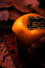 秋の柿イメージ