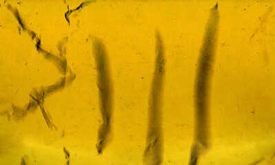 background, oro trama sfondo