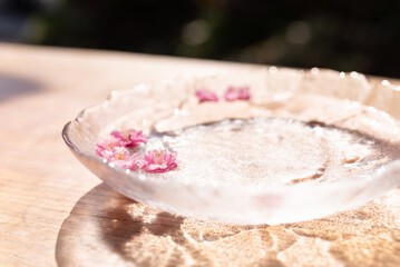 水に浮かぶ梅の花