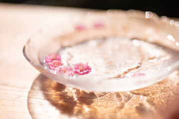 水に浮かぶ梅の花