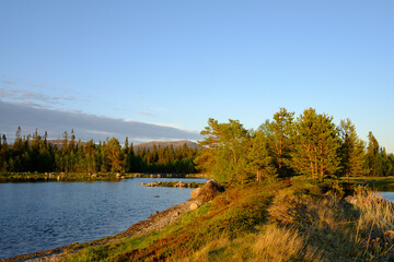 Fototapeta premium sunset over the beach